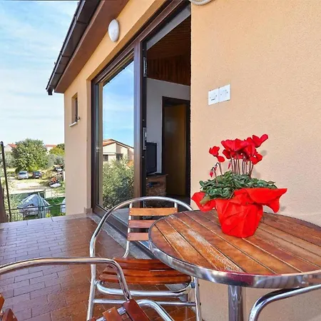 Spacious In With Terrace Apartment