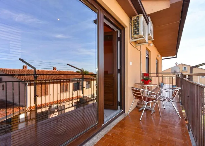 Spacious In With Terrace Apartment