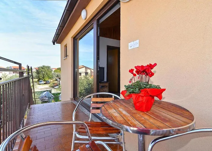 Spacious In With Terrace Apartment